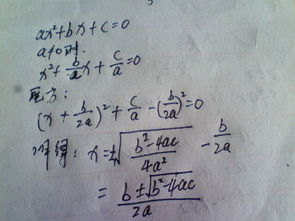 jogo de vaso e pia para banheiro simples_jogo demo_jogo do bicho resultado de hoje pt