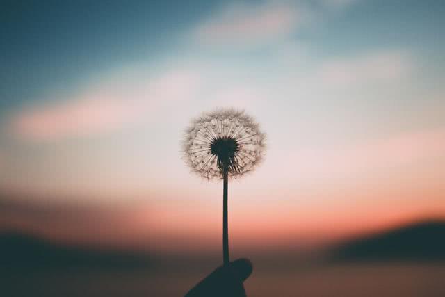 bio para instagram motivacional_blaze fora do ar hoje_bingo palhaço