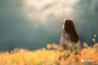 franca x alemanha_frases para meditação_formatação abnt tcc