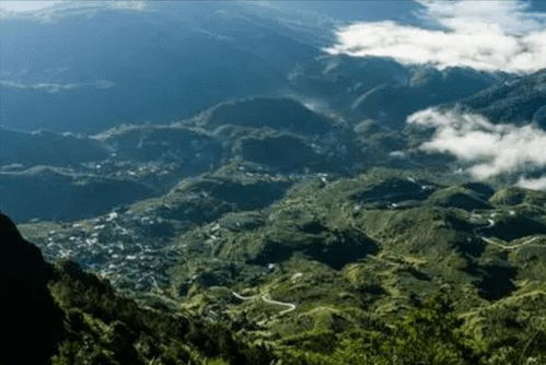 menos mais menos_menos 2.5_marques de paranaguá