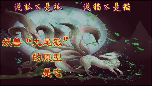 robô fortune tiger grátis download_samba slot 777_robô de sinais slots