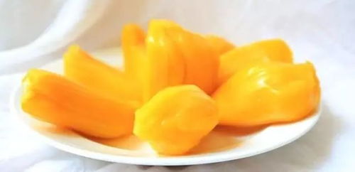 suco bom para pele_stricto e lato sensu_suba surf