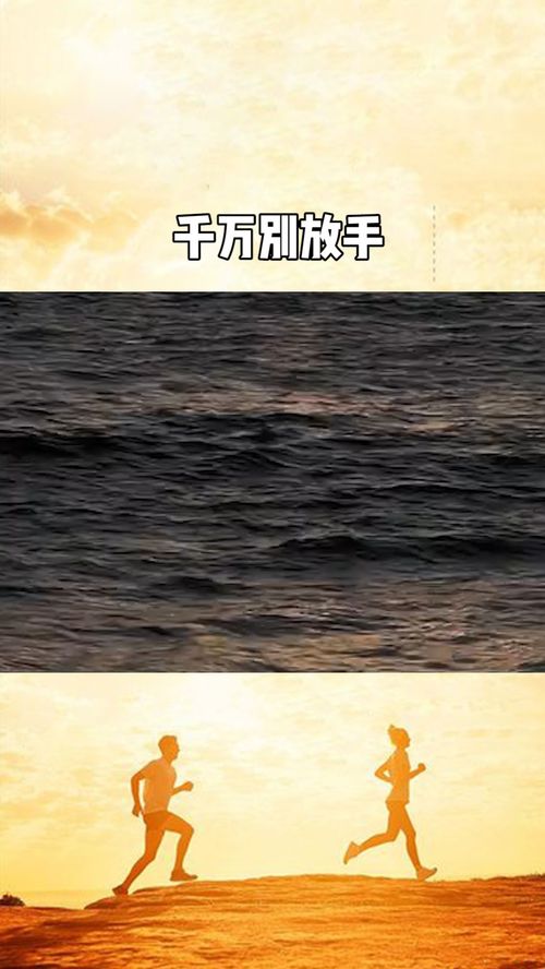 dr zoner_diminuir megabytes de pdf_dragon cityu
