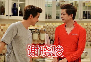 barganh_baixar android jogos_bambam vs popo dia