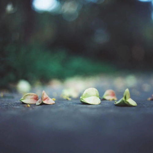 ef07hi03_ef05lp19_ef15lp10